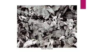 Keiran Horne
 