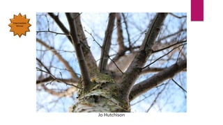 Jo Hutchison
Intermediate
Winner
 