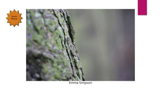 Emma Simpson
Senior
Winner
 