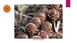 Emma Simpson
Senior
Winner
 