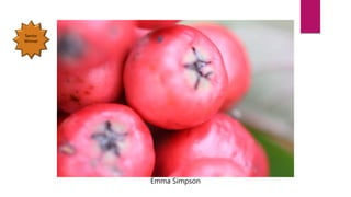 Emma Simpson
Senior
Winner
 