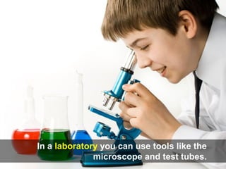 In a laboratory you can use tools like the
microscope and test tubes.
 