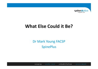 What Else Could it Be?
Dr Mark Young FACSP
SpinePlus
 