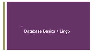 +
Database Basics + Lingo
 