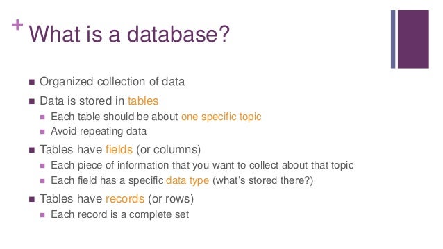 Database Basics Lingo 6 What Is Database Basics Lingo 6 What Is