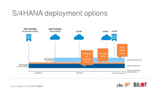Understand Your S/4Hana Deployment Options – GTST