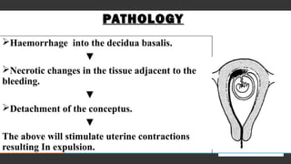 How many languages do
you need to know to
communicate with
the rest of the world?
Tip
In this example, we’re
leading off with
something unexpected.
While the audience is
trying to come up with a
number, we’ll surprise
them with the next slide.
 