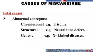 The Google Translate app
can repeat anything you
say in up to NINETY
LANGUAGES from
German and Japanese to
Czech and Zulu
Tip
Don’t wait till the end of
the presentation to give
the bottom line.
Reveal your product or
idea (in this case a
translation app) up front.
 