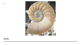 Golden Ratio Shell Example Examples of Golden Ratio in Nature and other places | PPTX