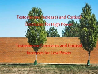 TestosteroneIncreasesand Cortisol
Decreasesfor High Power
TestosteroneDecreasesand Cortisol
Increasesfor LowPower
 