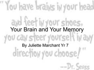 Your Brain and Your Memory

    By Juliette Marchant Yr 7
 