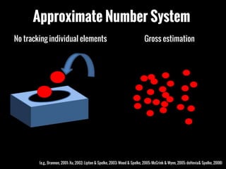 Your Brain on Number Sense | PPTX