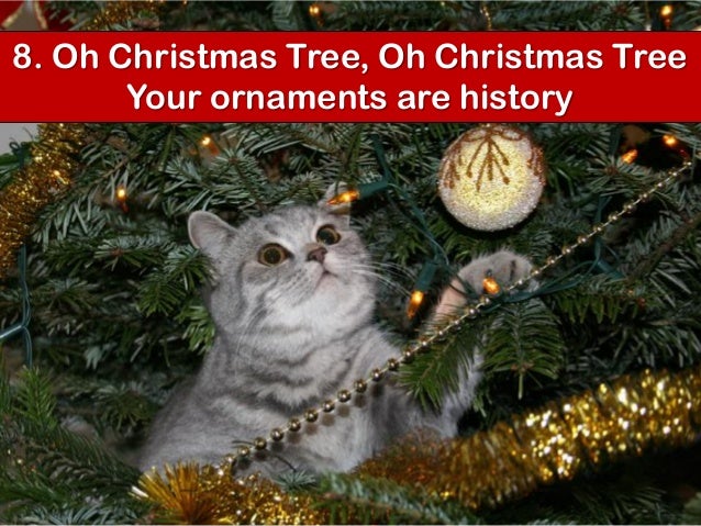 your cat s top 10 christmas songs your cat s top 10 christmas songs