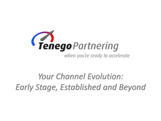 Your Channel Evolution:
Early Stage, Established and Beyond
 