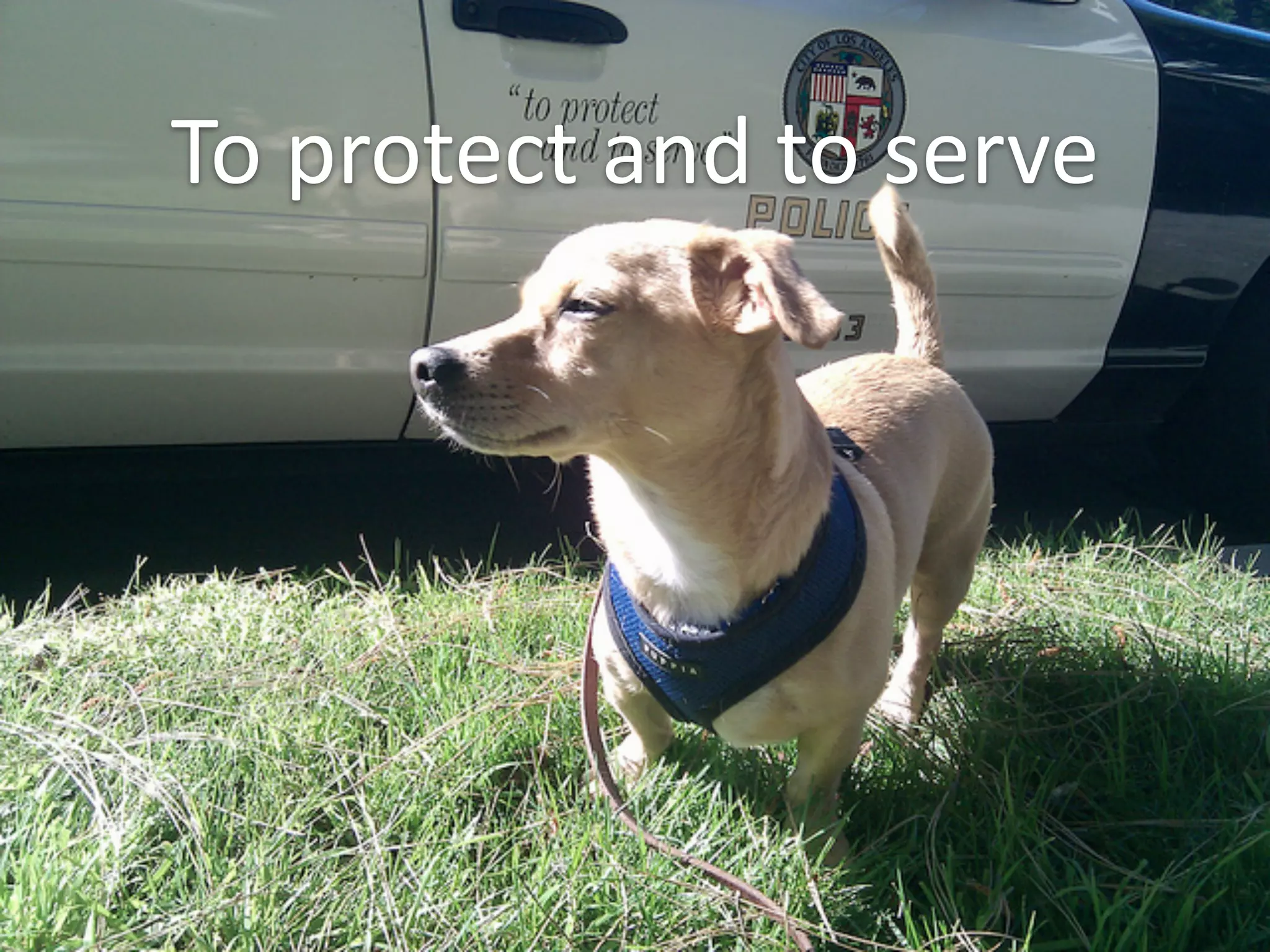 To	
  protect	
  and	
  to	
  serve
 