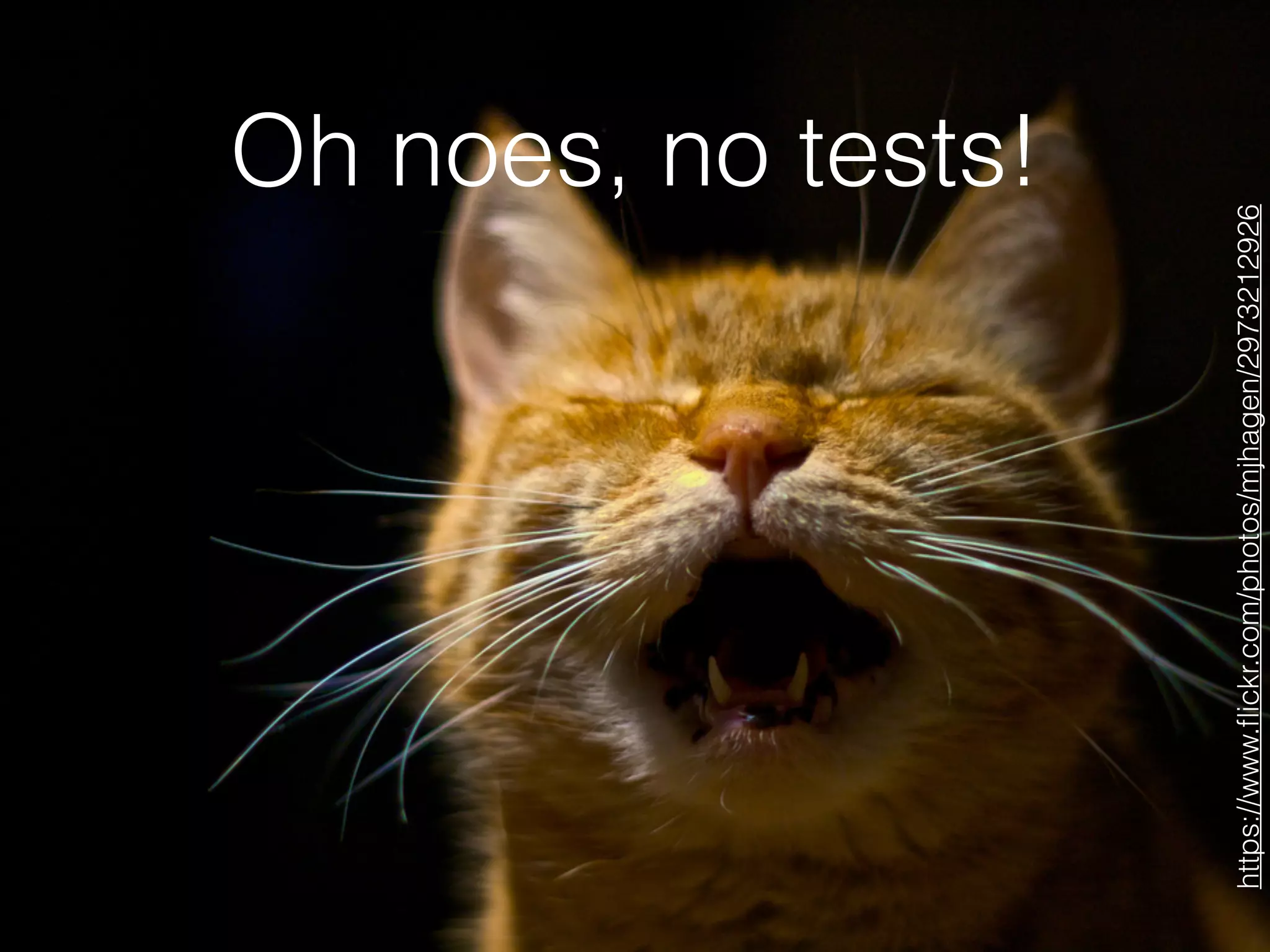 Oh noes, no tests!
https://www.ﬂickr.com/photos/mjhagen/2973212926
 