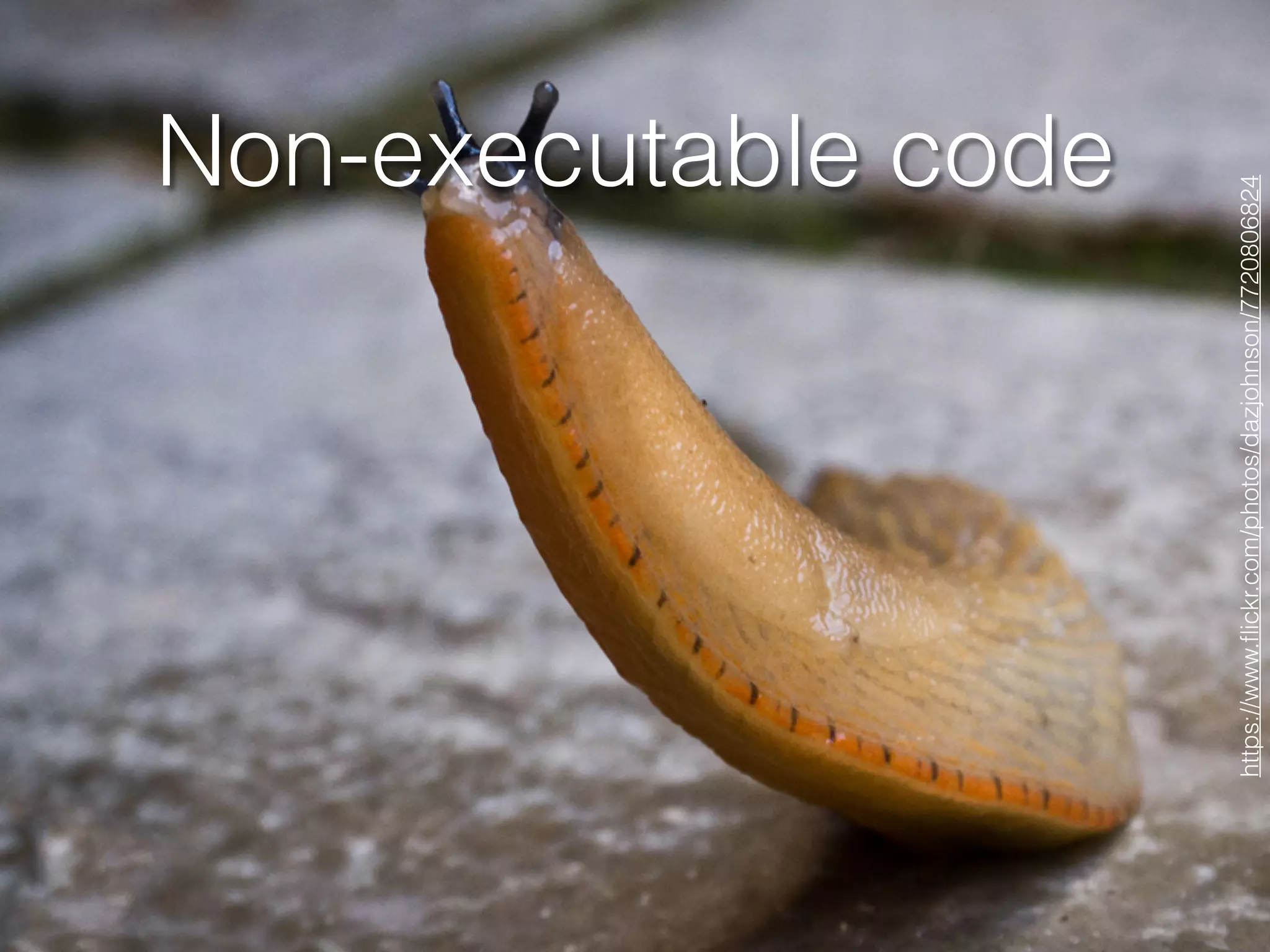 Non-executable code
https://www.ﬂickr.com/photos/dazjohnson/7720806824
 
