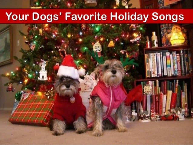 christmas songs with dogs