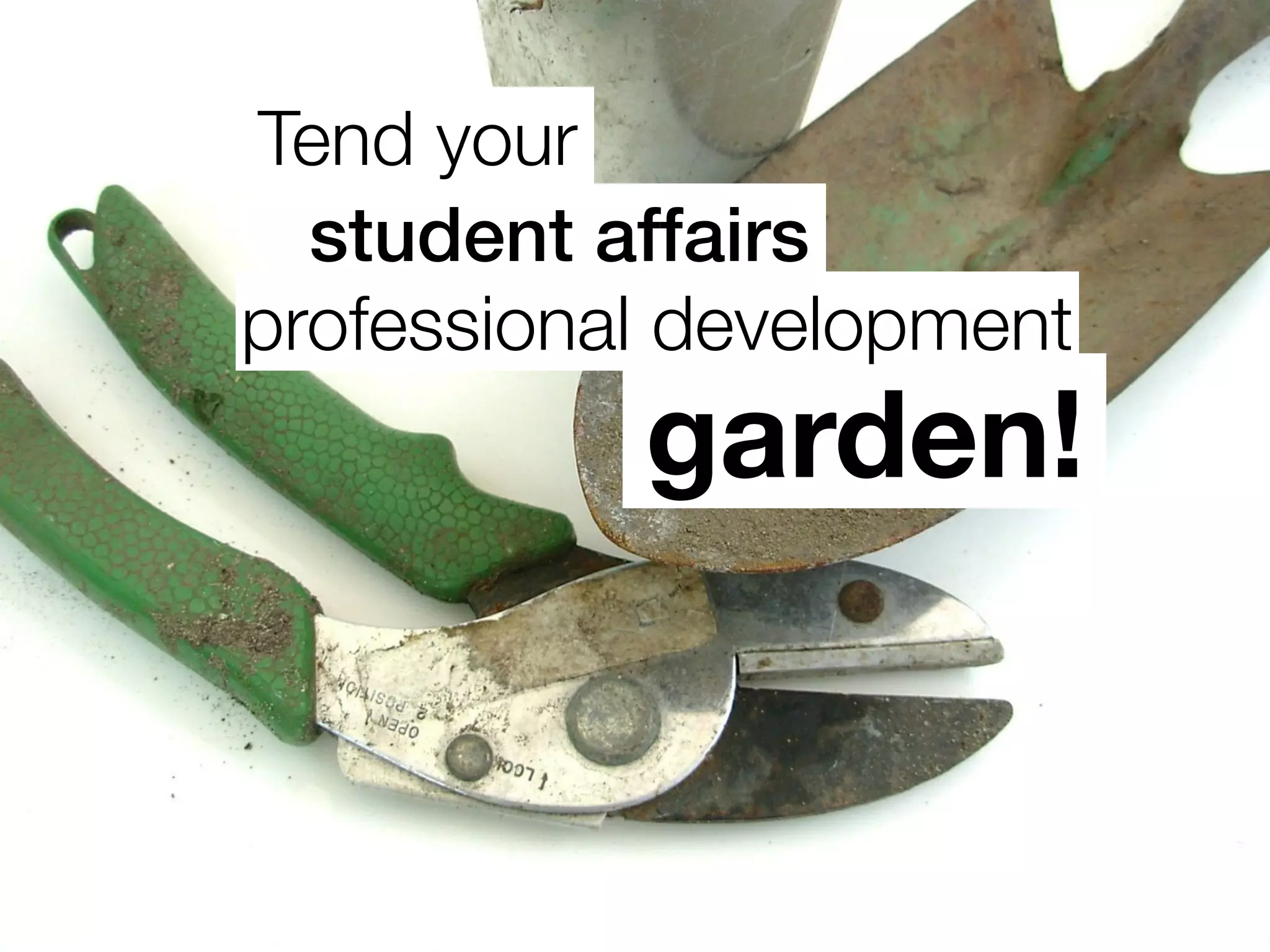 Tend your
garden!
professional development
student affairs