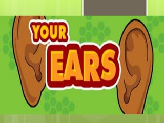 Your
Ears