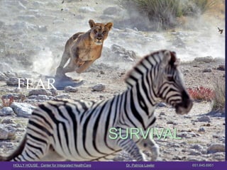 HOLLY HOUSE Center for Integrated HealthCare Dr. Patricia Lawler 651.645.6951 
SURVIVAL  