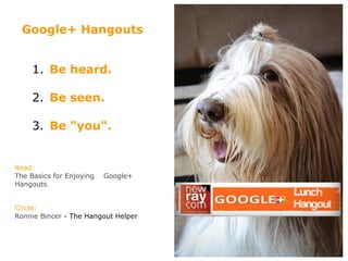 Google+ Hangouts
1. Be heard.
2. Be seen.
3. Be "you".
Read:
The Basics for Enjoying Google+
Hangouts
Circle:
Ronnie Bincer - The Hangout Helper
 