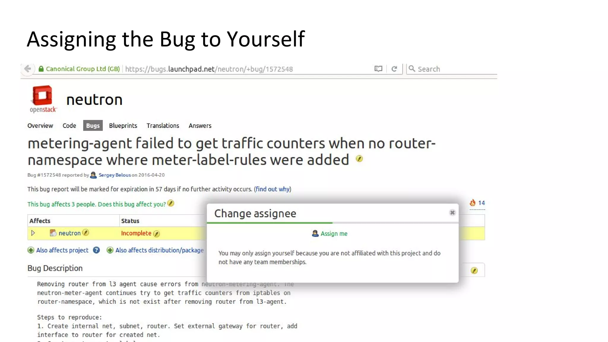 Assigning the Bug to Yourself
 