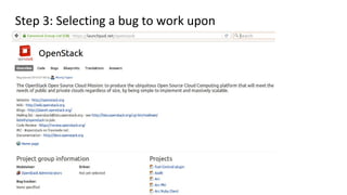 Step 3: Selecting a bug to work upon
 