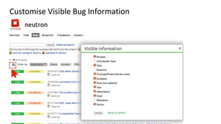 Customise Visible Bug Information
 
