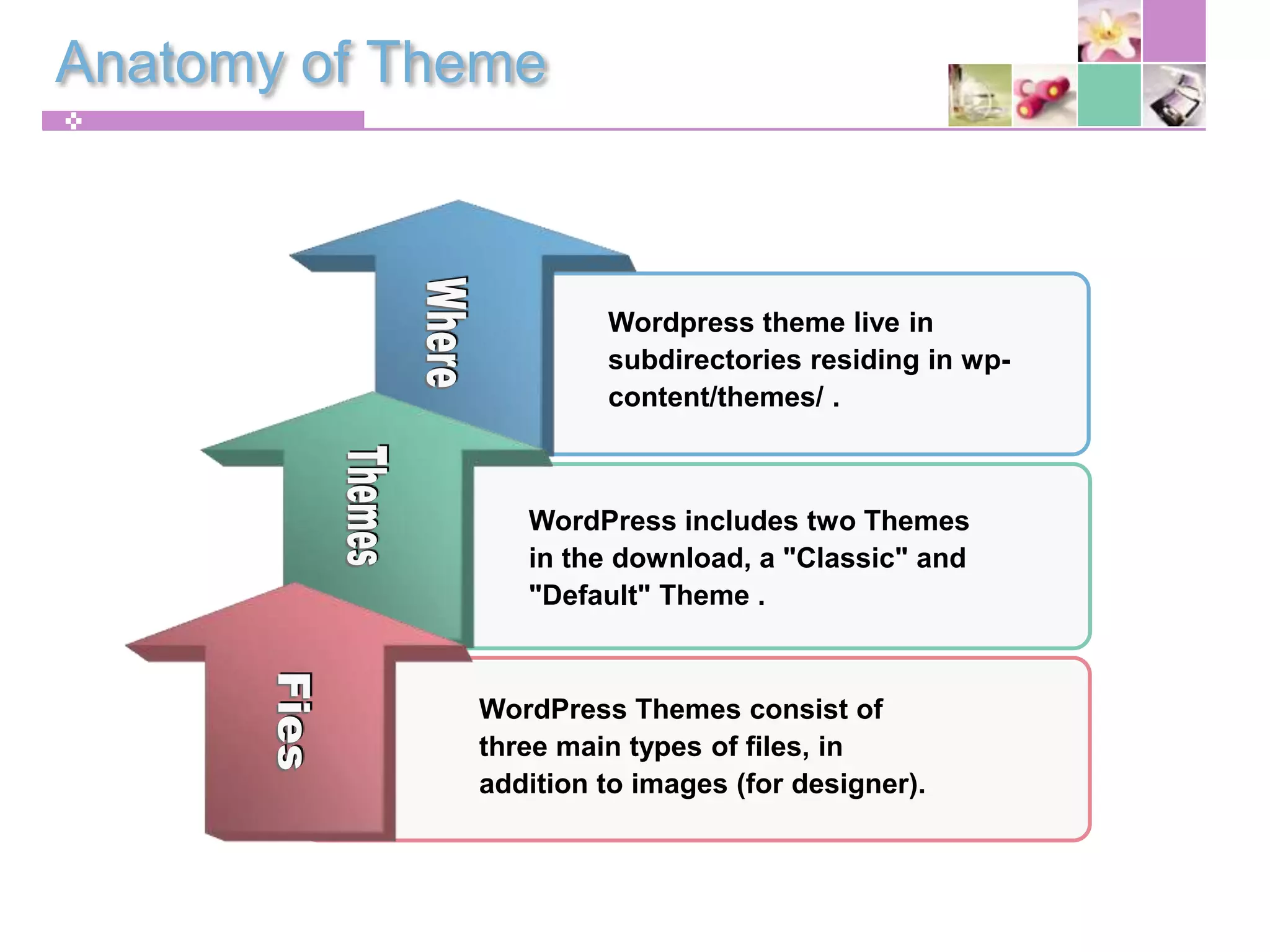 Your First Wordpress Theme