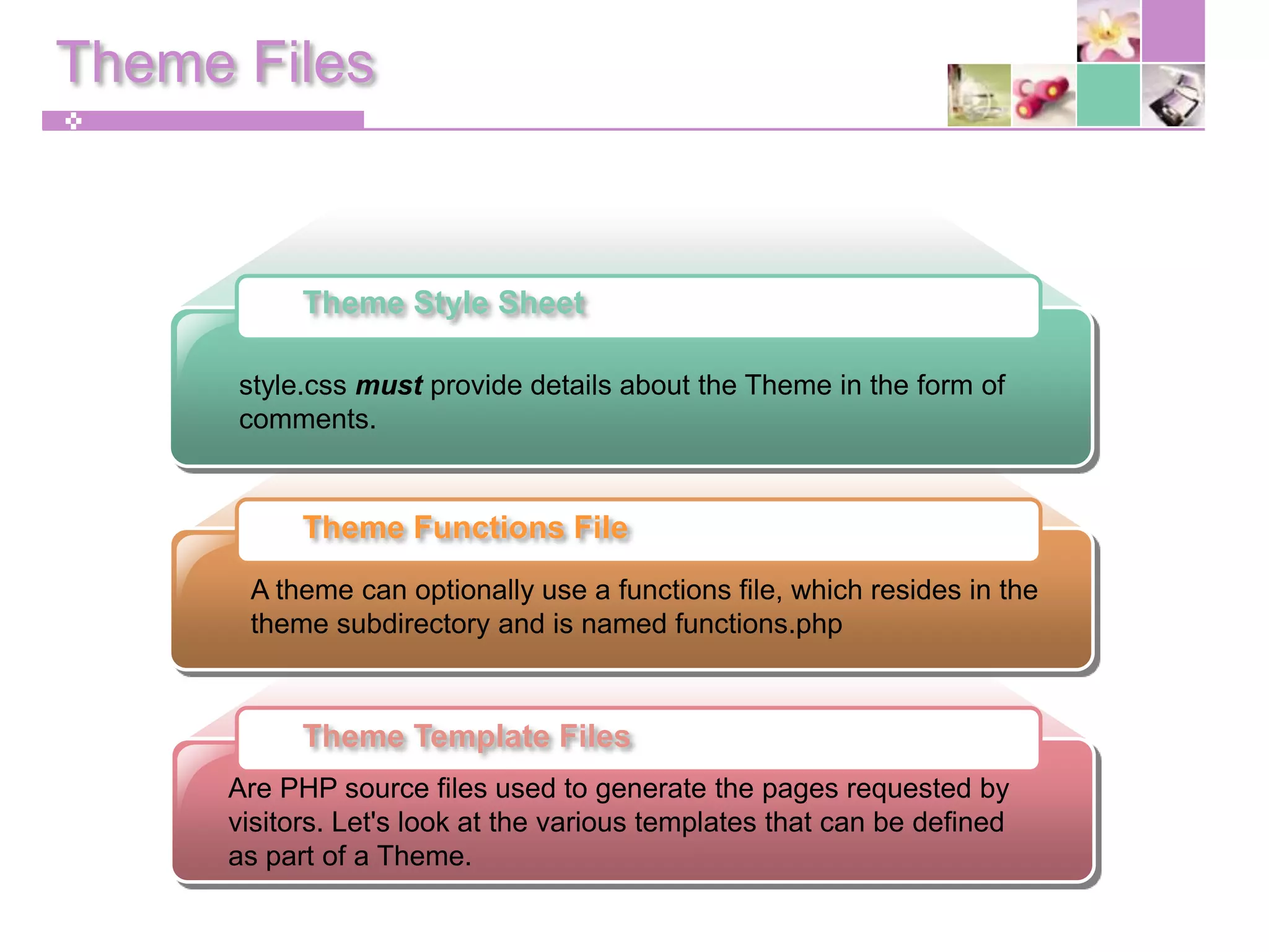 Your First Wordpress Theme