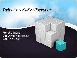 Welcome to KoiPondFever.com
For the Most
Beautiful Koi Ponds,
Get The Best
 