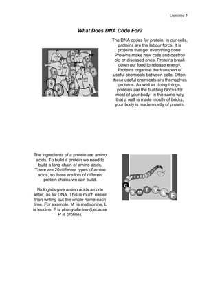 Genome 5


                       What Does DNA Code For?
                                           The DNA codes for protein. In our cells,
                                               proteins are the labour force. It is
                                              proteins that get everything done.
                                            Proteins make new cells and destroy
                                            old or diseased ones. Proteins break
                                               down our food to release energy.
                                              Proteins organise the transport of
                                           useful chemicals between cells. Often,
                                           these useful chemicals are themselves
                                               proteins. As well as doing things,
                                              proteins are the building blocks for
                                             most of your body. In the same way
                                             that a wall is made mostly of bricks,
                                            your body is made mostly of protein.




The ingredients of a protein are amino
 acids. To build a protein we need to
  build a long chain of amino acids.
There are 20 different types of amino
  acids, so there are lots of different
     protein chains we can build.

    Biologists give amino acids a code
 letter, as for DNA. This is much easier
  than writing out the whole name each
 time. For example, M is methionine, L
is leucine, F is phenylalanine (because
                P is proline).
 