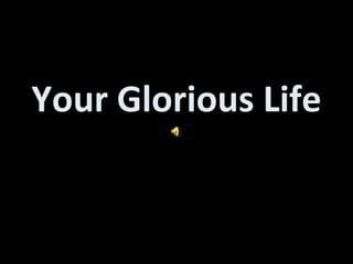 Your Glorious Life 