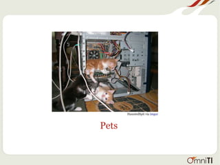 Pets
HauntedSpit via imgur
 