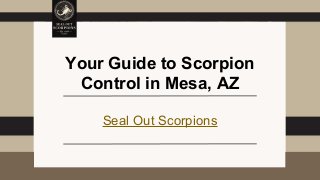 Your Guide to Scorpion
Control in Mesa, AZ
Seal Out Scorpions
 