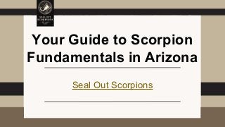 Your Guide to Scorpion
Fundamentals in Arizona
Seal Out Scorpions
 
