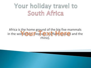 YourholidaytraveltoSouthAfrica Africa is the home ground of the big five mammals in the world (lion, elephant, buffalo, leopard and the rhino).  Your Text Here 