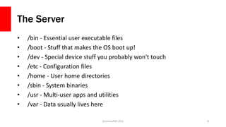 The Server
• /bin - Essential user executable files
• /boot - Stuff that makes the OS boot up!
• /dev - Special device stu...