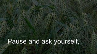 Pause and ask yourself,
 