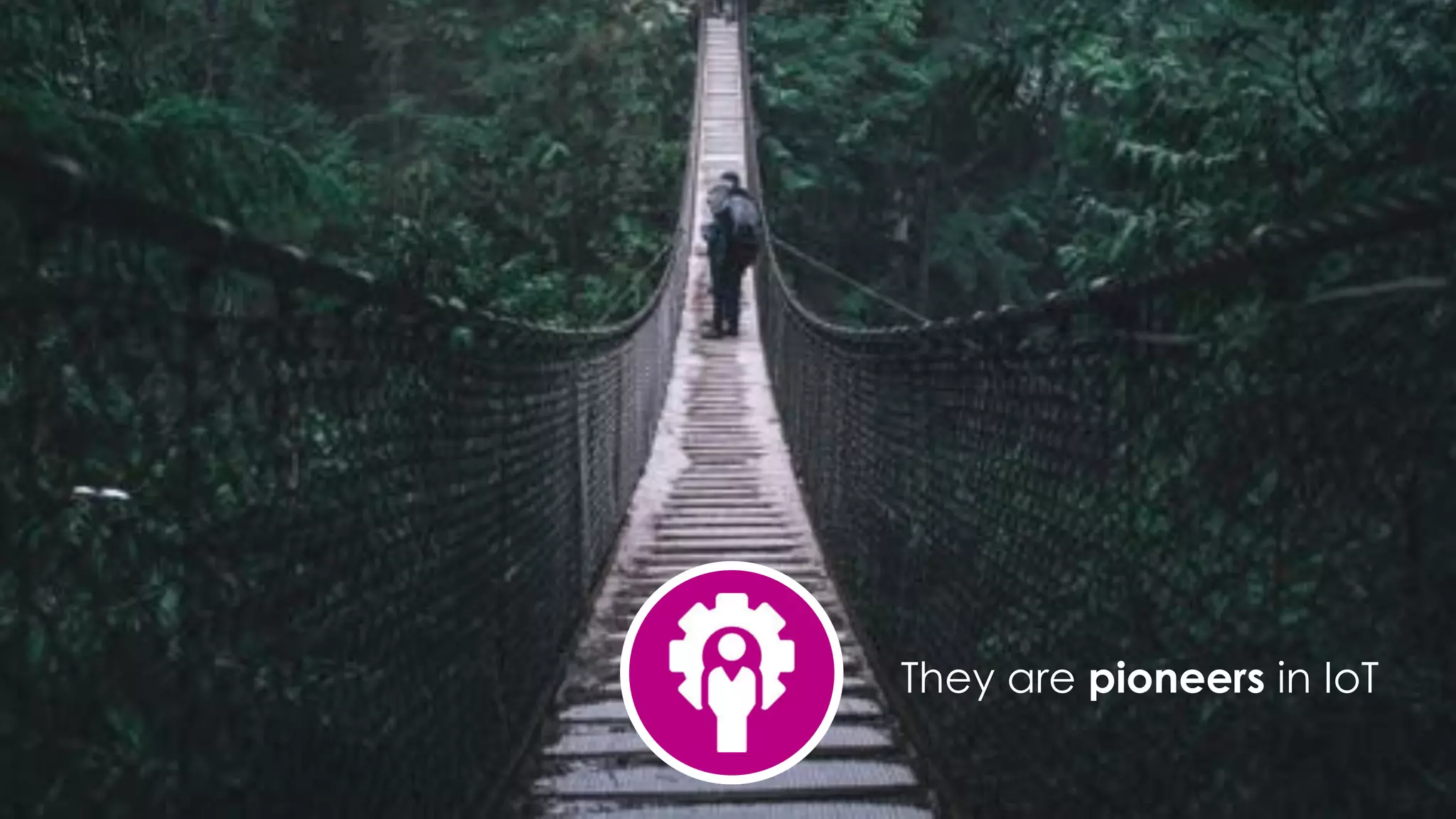 favoriot
They are pioneers in IoT
 