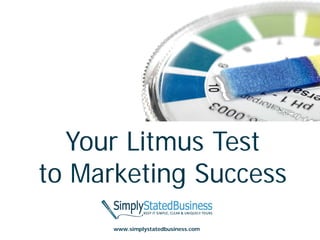 Your Litmus Test
to Marketing Success
      www.simplystatedbusiness.com
 