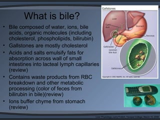 Liver Physiology, Larry Frolich, Yavapai College, March 10, 2006
What is bile?
• Bile composed of water, ions, bile
acids, organic molecules (including
cholesterol, phospholipids, bilirubin)
• Gallstones are mostly cholesterol
• Acids and salts emulsify fats for
absorption across wall of small
intestines into lacteal lymph capillaries
(review)
• Contains waste products from RBC
breakdown and other metabolic
processing (color of feces from
bilirubin in bile)(review)
• Ions buffer chyme from stomach
(review)
 