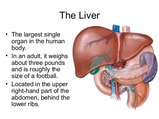 how does terbinafine cause liver damage