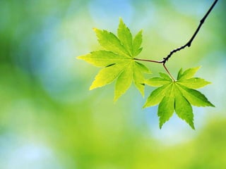 Your love never fails