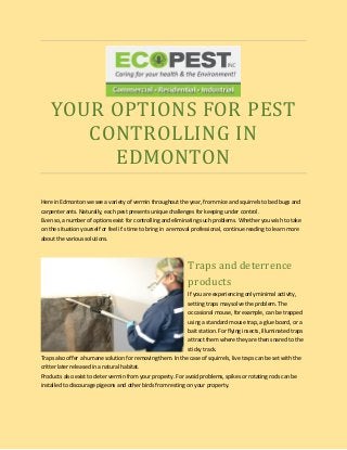 YOUR OPTIONS FOR PEST
CONTROLLING IN
EDMONTON
Here in Edmonton we see a variety of vermin throughout the year, from mice and squirrels to bed bugs and
carpenter ants. Naturally, each pest presents unique challenges for keeping under control.
Even so, a number of options exist for controlling and eliminating such problems. Whether you wish to take
on the situation yourself or feel it's time to bring in a removal professional, continue reading to learn more
about the various solutions.
Traps and deterrence
products
If you are experiencing only minimal activity,
setting traps may solve the problem. The
occasional mouse, for example, can be trapped
using a standard mouse trap, a glue board, or a
bait station. For flying insects, illuminated traps
attract them where they are then snared to the
sticky track.
Traps also offer a humane solution for removing them. In the case of squirrels, live traps can be set with the
critter later released in a natural habitat.
Products also exist to deter vermin from your property. For avoid problems, spikes or rotating rods can be
installed to discourage pigeons and other birds from resting on your property.
 