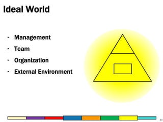 Ideal World 
44 
‣ Management 
‣ Team 
‣ Organization 
‣ External Environment 
 