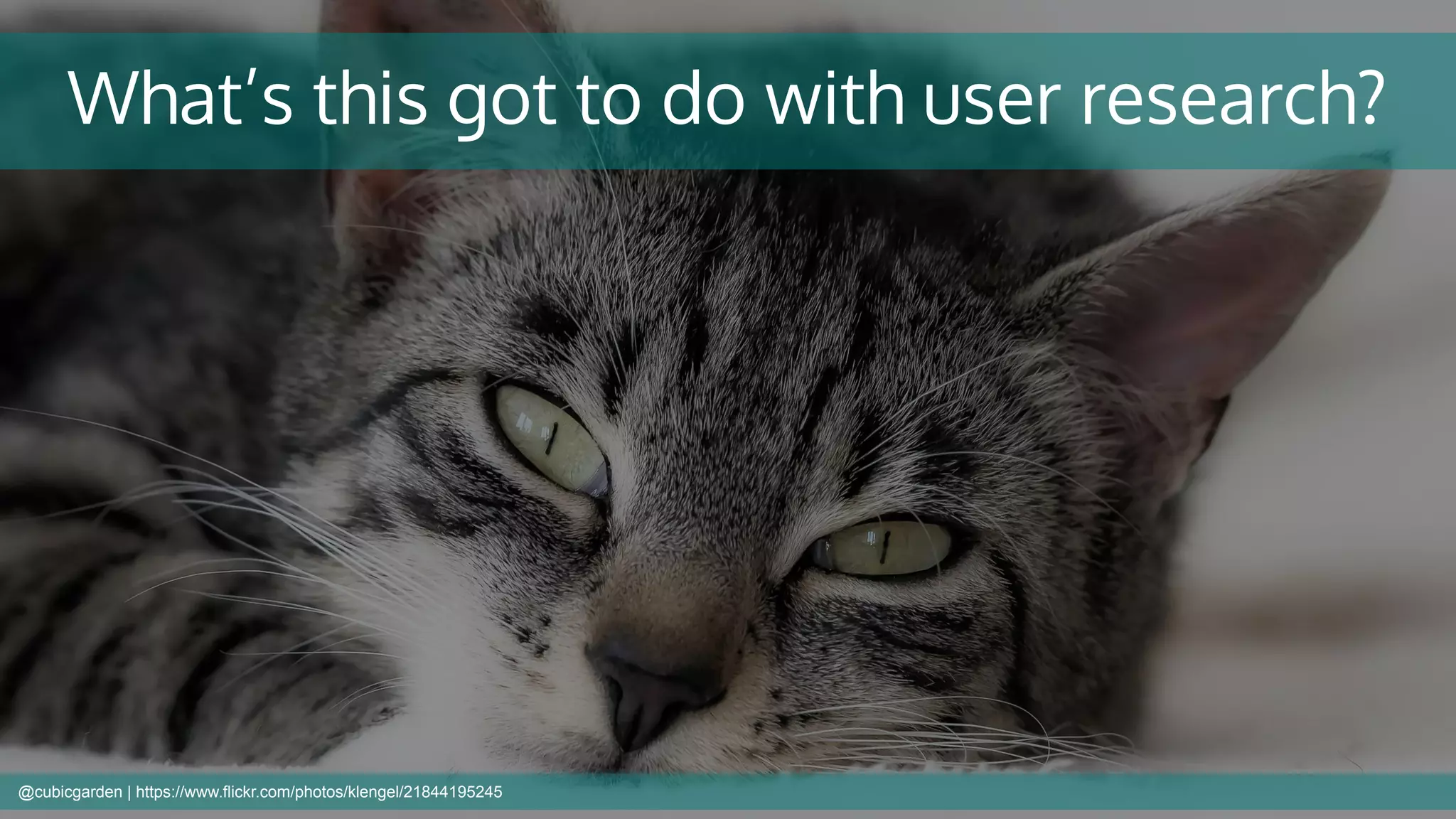 What’s this got to do with user research?
@cubicgarden | https://www.flickr.com/photos/klengel/21844195245
 