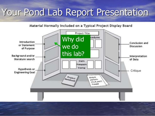 What to include in your lab report presentation