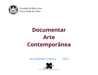 Contemporary Art - Documentation